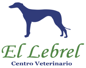 Logo Veterinario Vertical